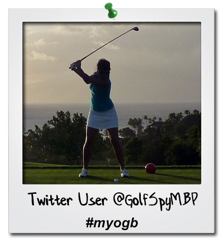 myogb-GolfSpyMBP-a.jpg